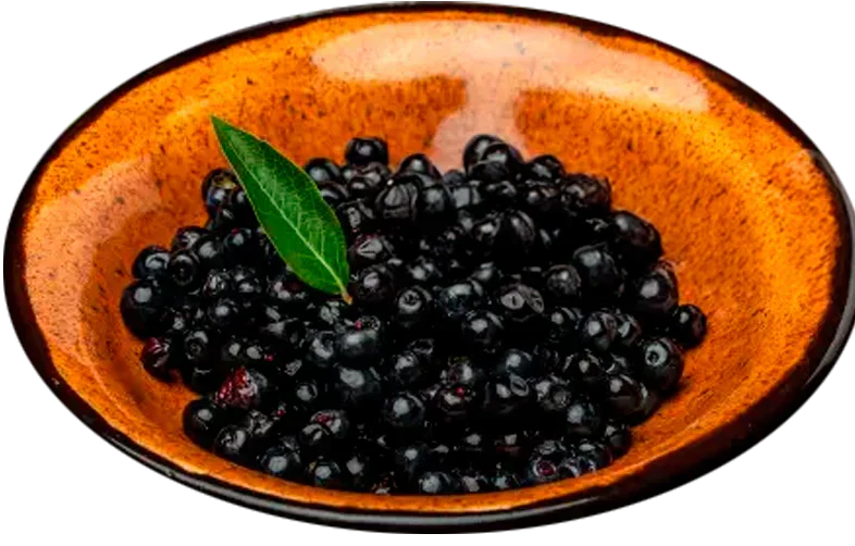 Maqui: el “berry” púrpura de la Patagonia que potencia nuestras barras Redondita