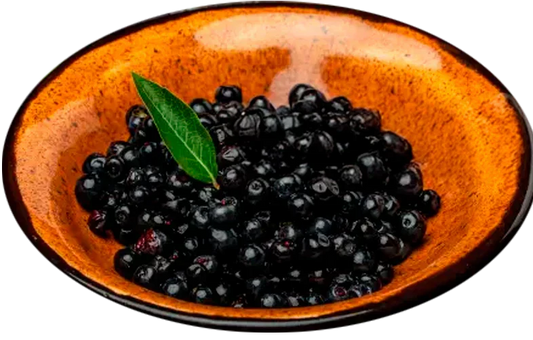 Maqui: el “berry” púrpura de la Patagonia que potencia nuestras barras Redondita